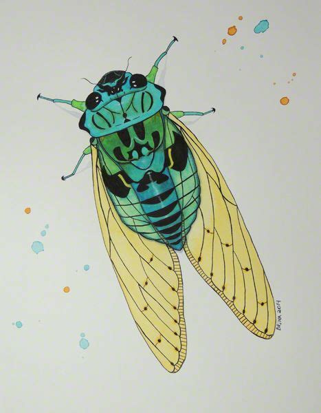 Cicada Watercolor And India Ink By Brina Beury Insect Wings Insect Art Art Journal
