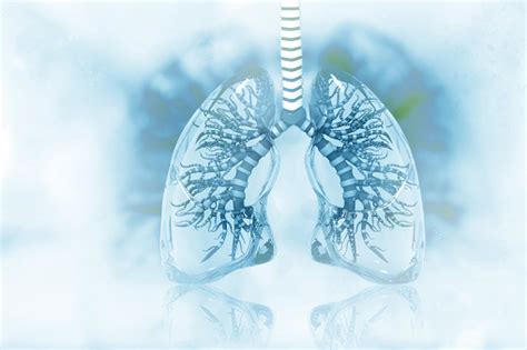 Human Lungs On Scientific Background Stock Photo Download Image Now