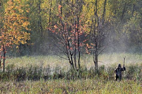 A Hunter In The Fog Stock Photo Image Of Trees Warmer 48358484