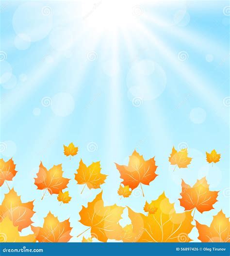 Autumn Flying Maples In Blue Sky Stock Vector Illustration Of Autumn