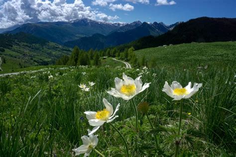 Spring Hike In Italy Trekking Alps