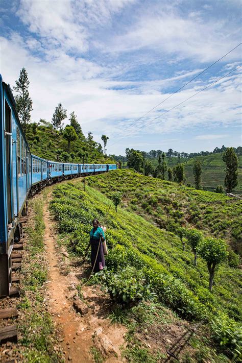 Ceylon Tea Trails Sri Lanka Honestly Wtf