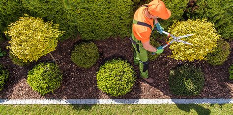 Power lawn edgers cut using either a blade, a cutting wheel or, in the case of a string trimmer / edger device, a monofilament line. Trimline Landscape Management | Lawn Care Rochester NY