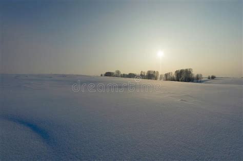 Winter Landscape Of Snowy Deserted Field With A Few Trees On Horizon