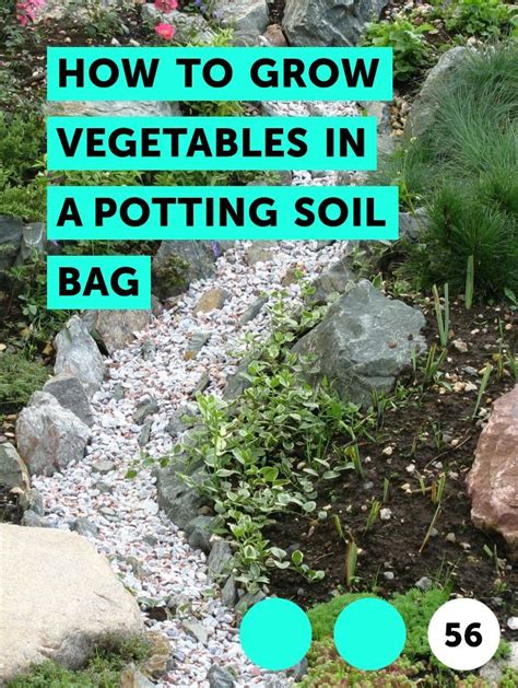 Learn How To Grow Vegetables In A Potting Soil Bag How To Guides