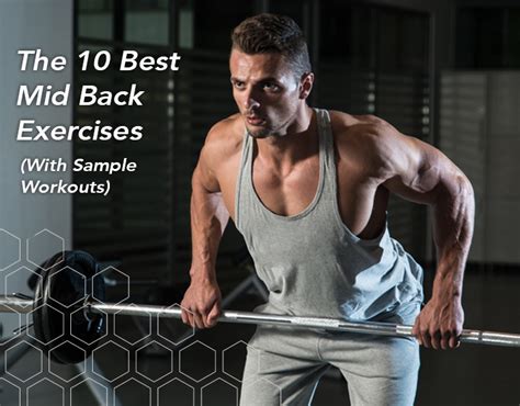 The 10 Best Mid Back Exercises With Sample Workouts Fitbod