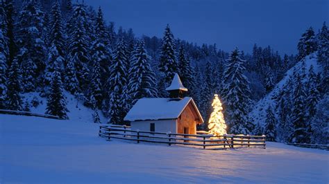 Wallpaper Lights Night Snow Winter House Evening Christmas Tree