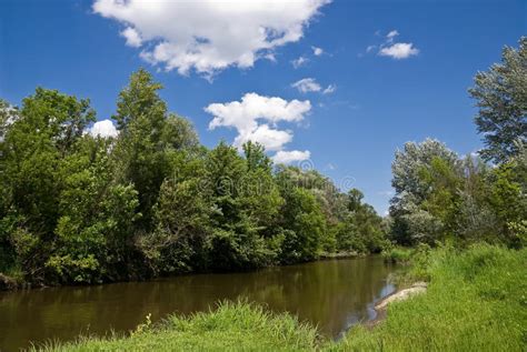 Forest River Stock Photo Image Of Shore River Water 15389542