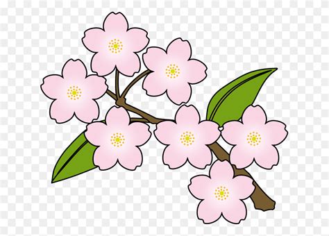 Sakura Flower Clipart Spring Revival Clipart Flyclipart