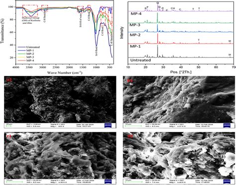 Ftir Xrd And Sem Micrograph Of Micp Untreated And Treated Expansive