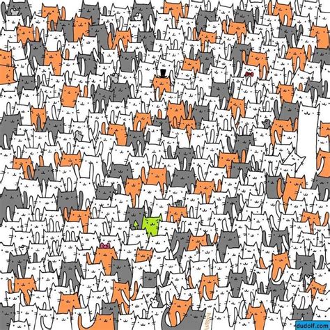 People Are Struggling To Find The Bunny Hidden In A Sea Of Cats In This