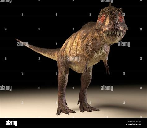 Tyrannosaurus Rex Dinosaur Stock Photo Alamy