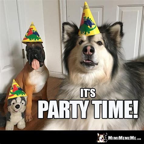 Party Dogs Say Its Party Time Funny Party Pictures Funny Birthday