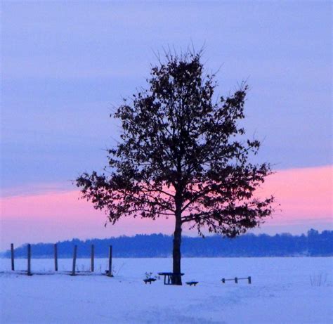 Wordless Wednesday Winter Scenes From Marshall Park In Madison