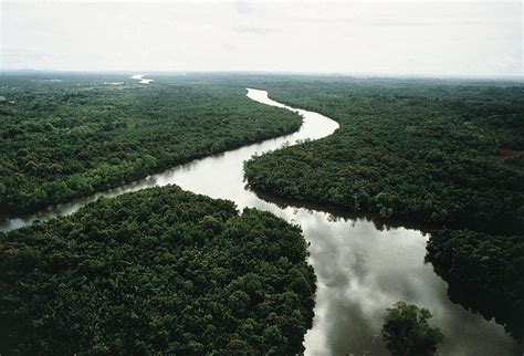 Identify the locations of tropical rainforests. Land Biomes - Tropical Rainforests