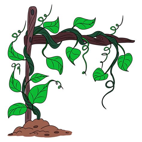 How To Draw Vines Really Easy Drawing Tutorial