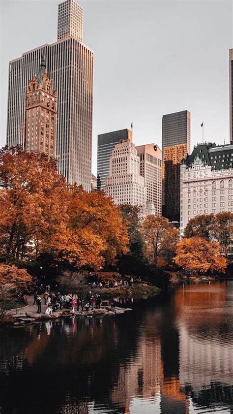 Fall In Central Park Nyc City Aesthetic City Photography Autumn In