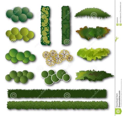Hedges And Bush Set For Landscape Design Stock Vector Illustration Of