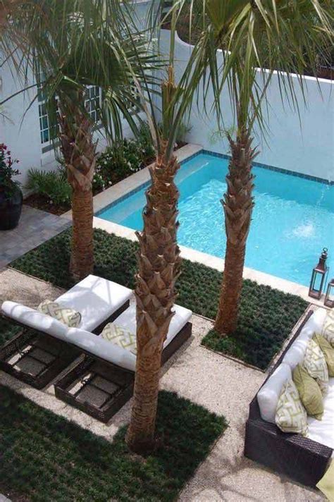 Swimming Pools Backyard Small Backyard Landscaping Backyard Trees