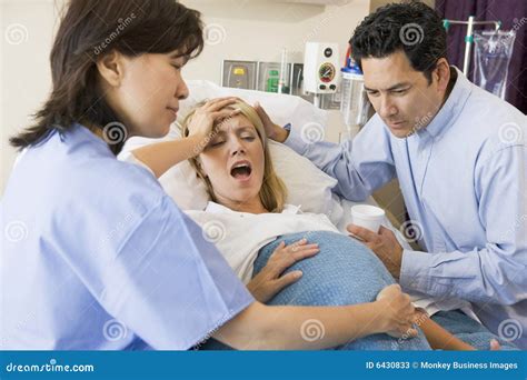 Giving Birth 1 The Nyala Tragelaphus Angasii Stock Image 72306463