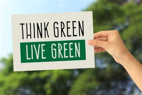Top Green Living Hacks Thatll Lessen Your Impact On The Environment