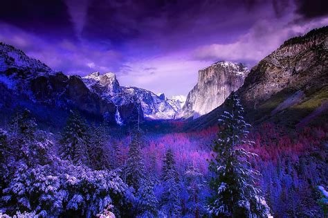 Yosemite National Park California Mountains Snow Winter Forest