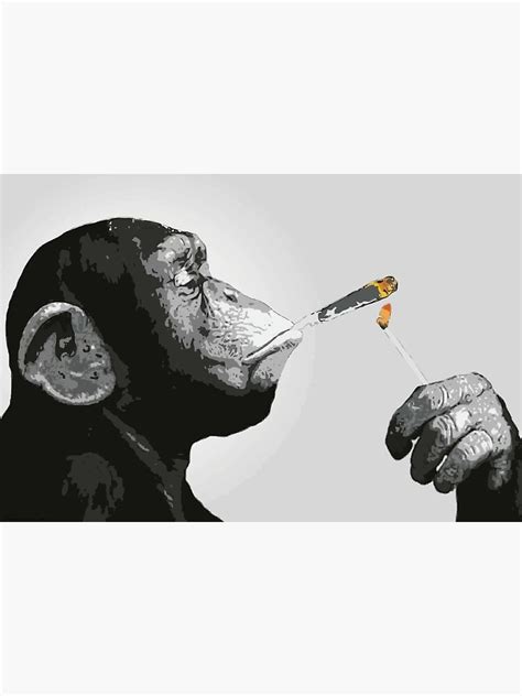 Banksy Steez Chimp Monkey Smoking Joint Canvas Print For Sale By