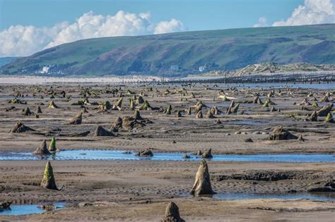 Stonehenge And The Ice Age Exposures Of The Submerged Forest At Borth