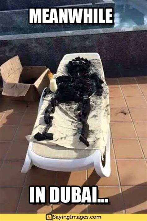 42 Hot Weather Memes That Ll Help You Cool Down Hot Weather Memes Weather