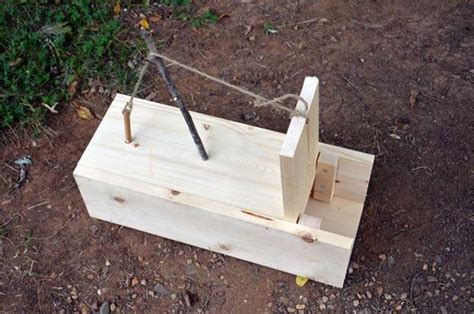 How To Make Squirrel Trap Find Out Here All Animals Guide