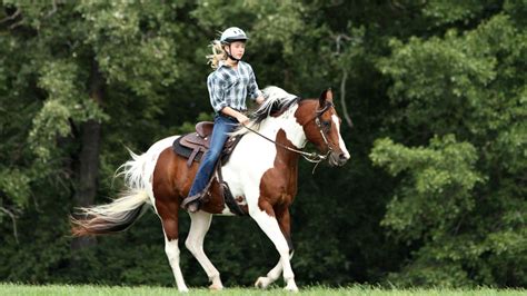 Can You Rent A Horse To Ride For A Day The Complete Guide