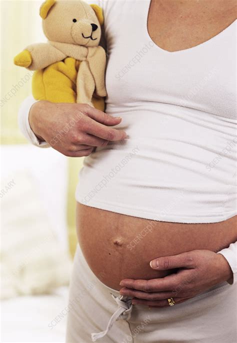Pregnant Woman Stock Image M805 0653 Science Photo Library