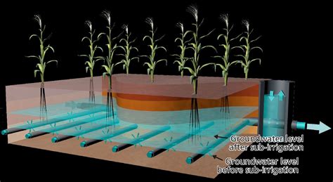 Underground Irrigation Can Satisfy Agricultural Water Demand Kwr