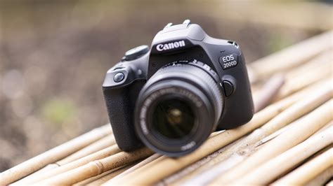 Best Entry Level Dslr 2018 10 Budget Cameras Perfect For The Beginner