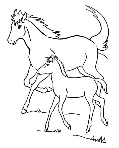 Coloring Pages Of Horses And Foals Coloring Home