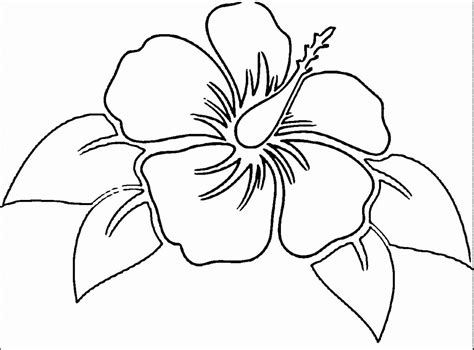 Flower Coloring Page Hawaiian Flower Coloring Page