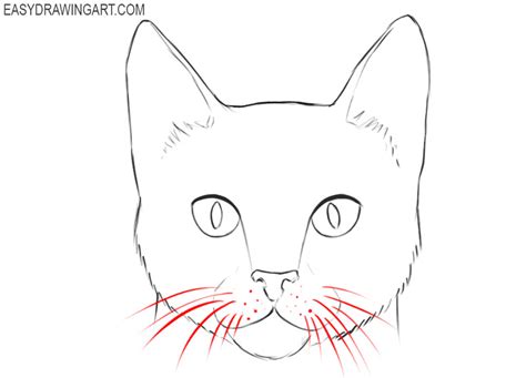 How To Draw A Cat Face Easy Drawing Art