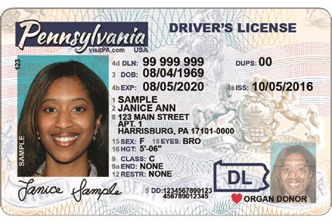 Dups On Your Driver S License Terraintensive