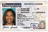 Sample Illinois Drivers License