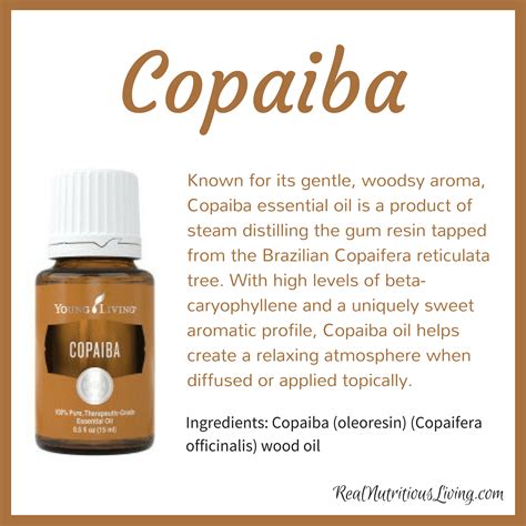 The tree produces a yellow sticky resin read more: Copaiba Essential Oil | Real Nutritious Living