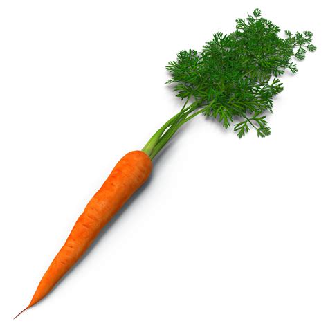 Carrot Wallpapers Food Hq Carrot Pictures 4k Wallpapers 2019