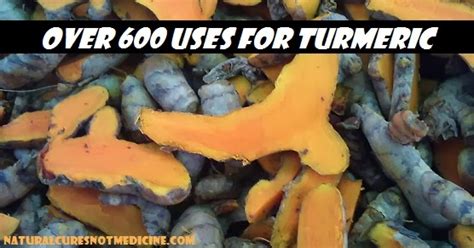 Natural Cures Not Medicine 600 Reasons Turmeric May Be The World S