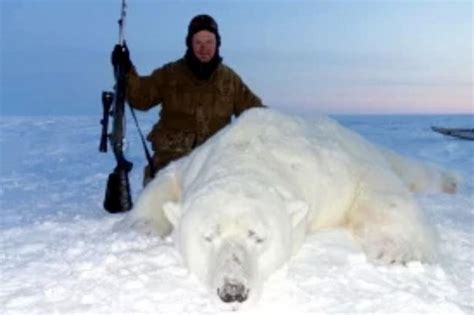Sick Trophy Hunters Pose Beside Polar Bear Kills As Thousands