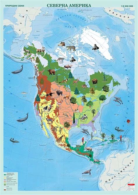 Стенна карта на Северна Америка с природни зони Storebg