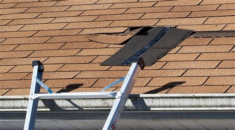5 Essential Tips To Maintain Your Roof Throughout The Year