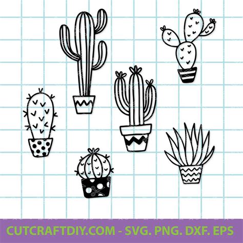 Succulent Svg File Cactus Vector Cactus Clipart Cactus Pot Svg