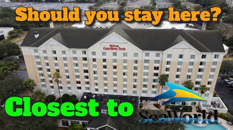 Hilton Garden Inn Seaworld Orlando Fl Hotel Hilton Garden Inn Orlando At Seaworld Youtube