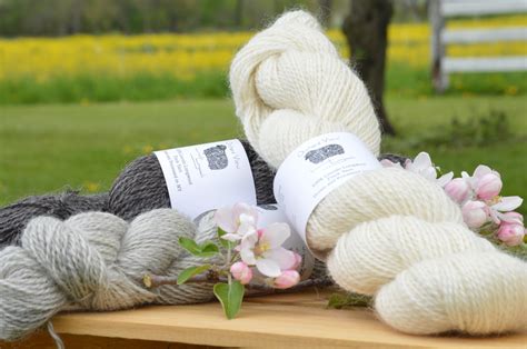 Wool Orchard View Lincoln Longwools