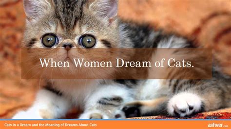 The more kittens, the more little things in my life. Cats in a Dream and the Meaning of Dreams About Cats - YouTube