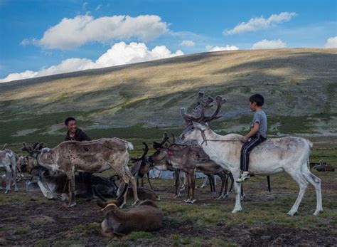 28 breathtaking photos of mongolia s reindeer tribe